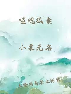噬魂狐妻