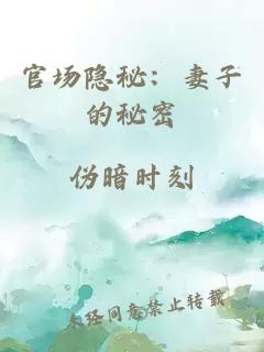 官场隐秘：妻子的秘密